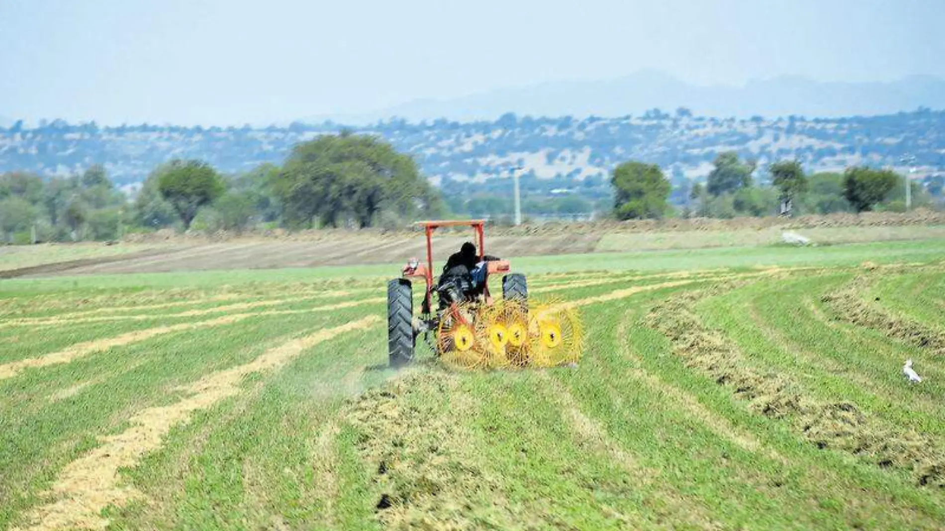 CAMPO TLAXCALA ESTADOS UNIDOS